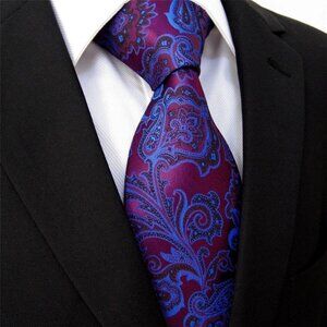 New Hologram Shine Mens Blue Purple Eggplant Black Paisley Design 100% Silk Tie